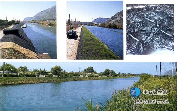 ct505-1655.jpg ct505-1655.jpg